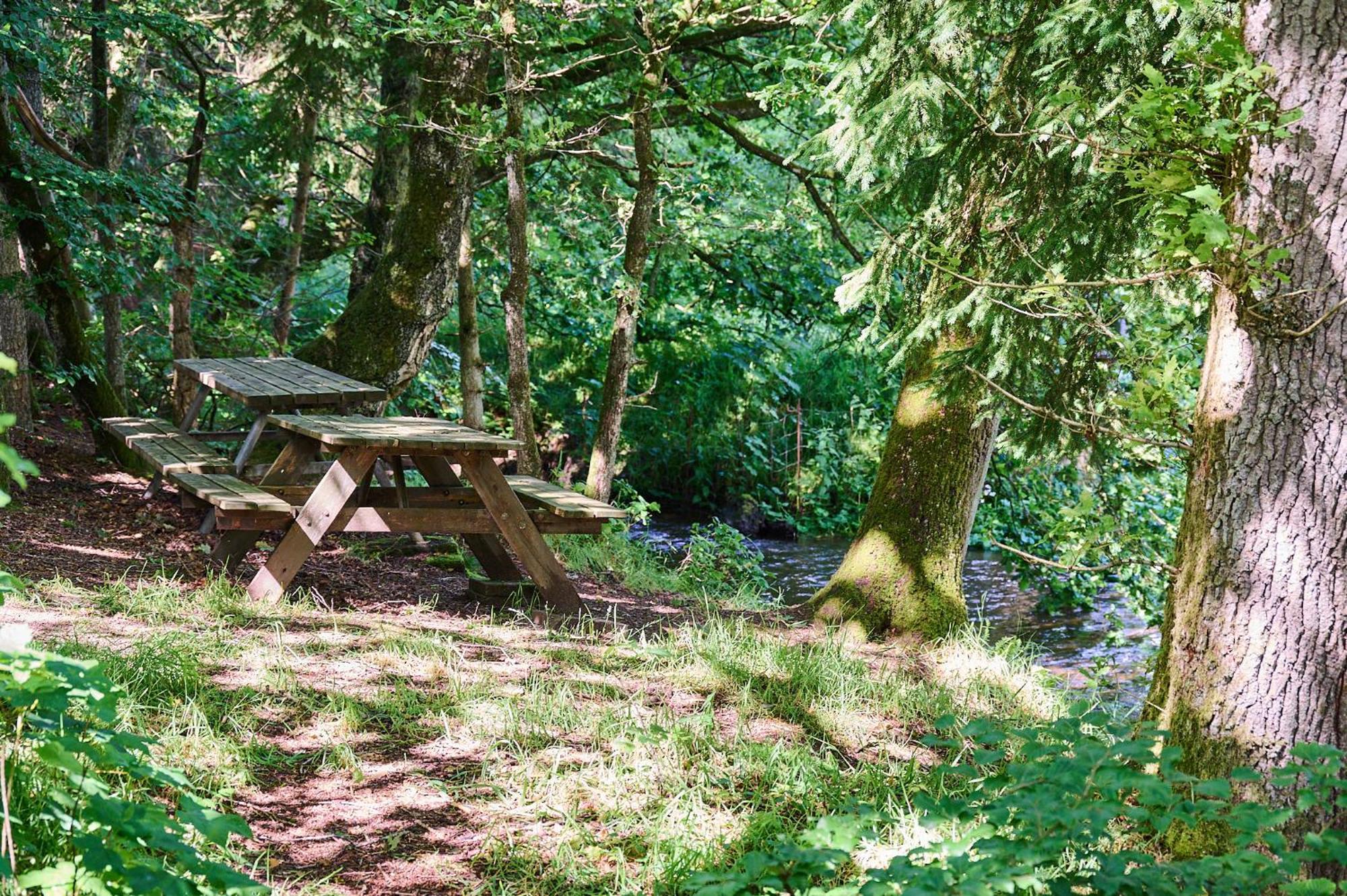 Randboldal Camping & Cabins Exterior foto