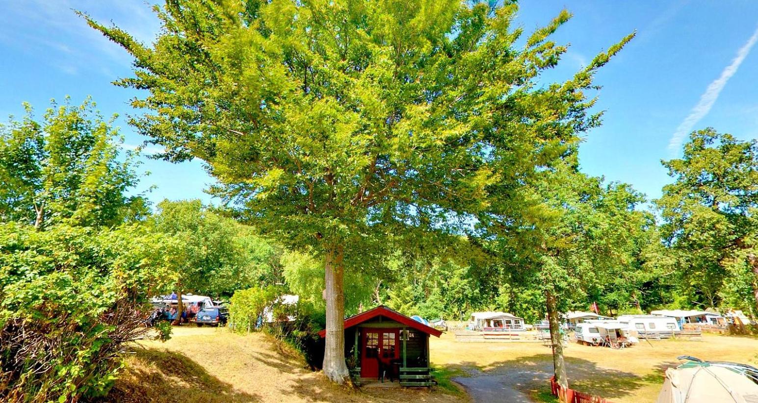 Randboldal Camping & Cabins Exterior foto