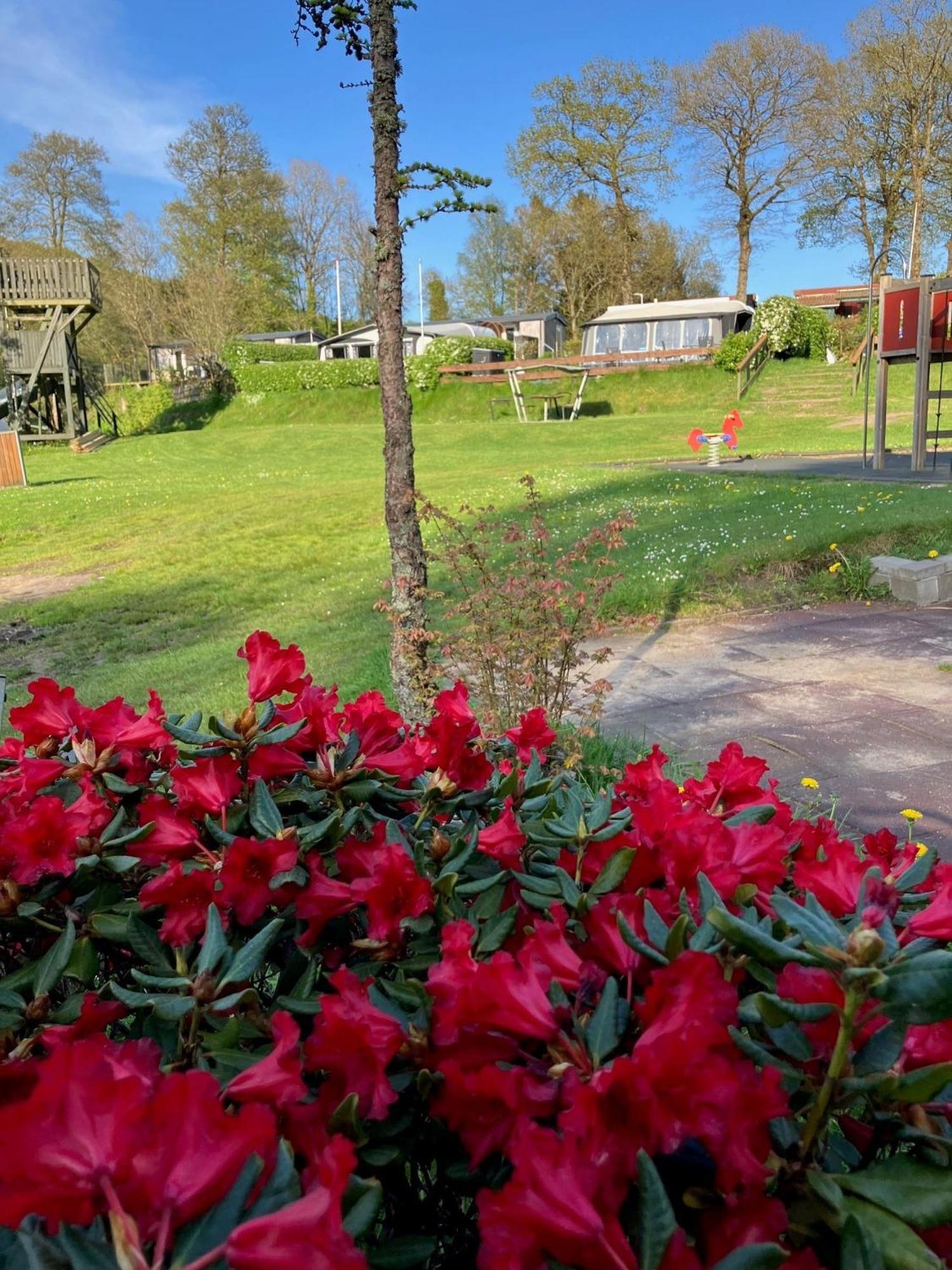 Randboldal Camping & Cabins Exterior foto