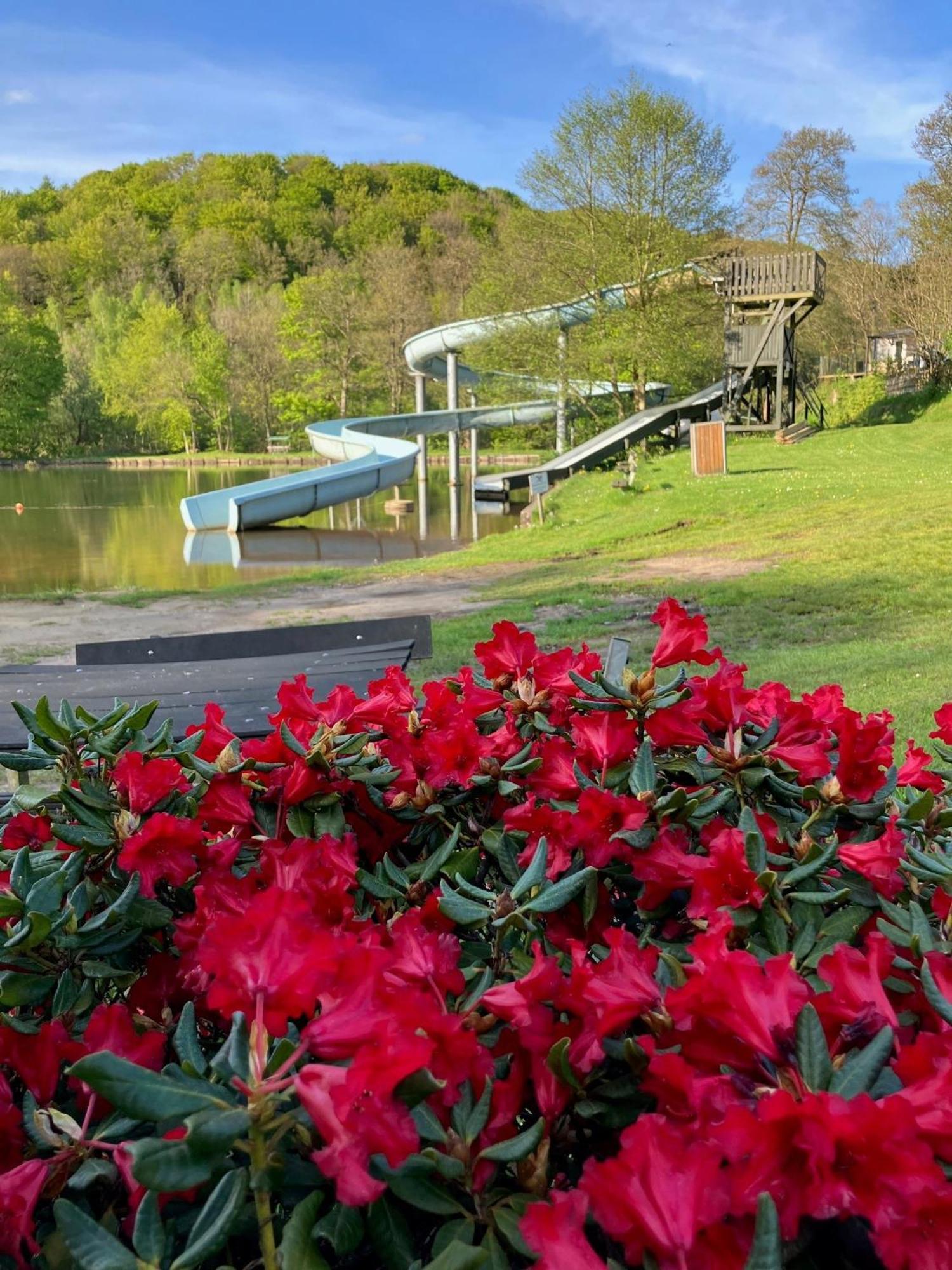 Randboldal Camping & Cabins Exterior foto